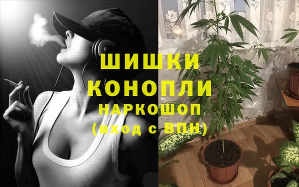 скорость Алзамай