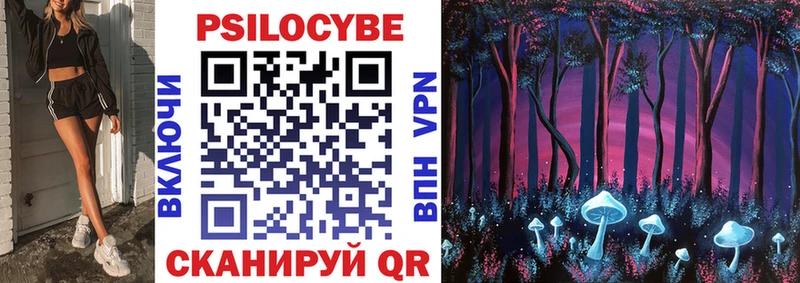 где продают   Кемерово  Галлюциногенные грибы Psilocybine cubensis 